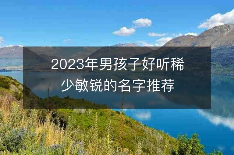 2023年男孩子好聽稀少敏銳的名字推薦，男孩子好聽稀少敏銳的名字2023起名