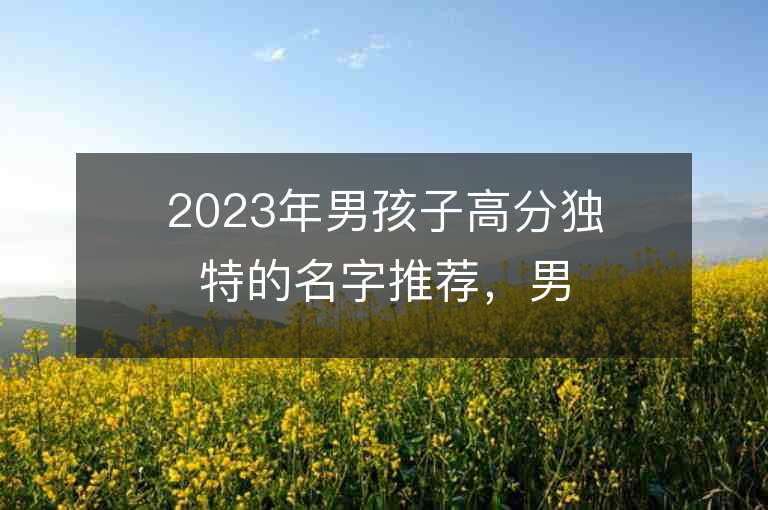 2023年男孩子高分獨特的名字推薦，男孩子高分獨特的名字2023起名