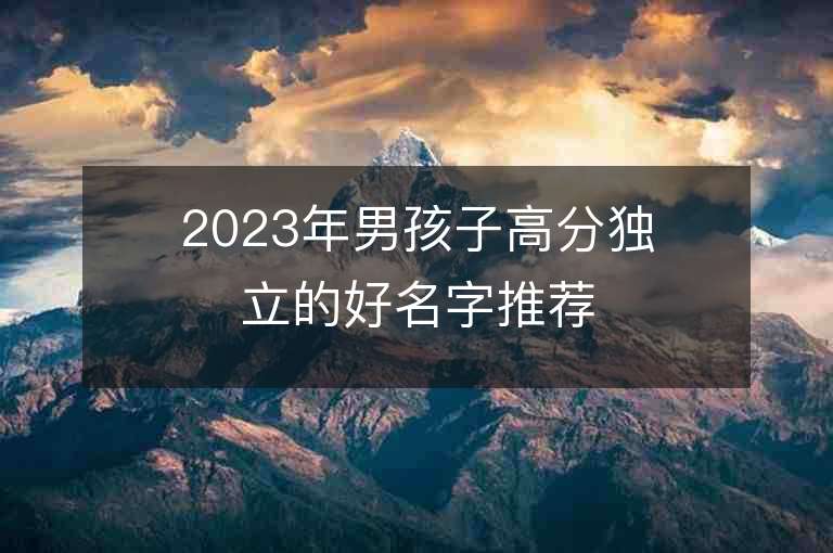 2023年男孩子高分獨立的好名字推薦