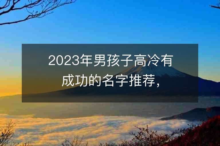 2023年男孩子高冷有成功的名字推薦，男孩子高冷有成功的名字2023起名