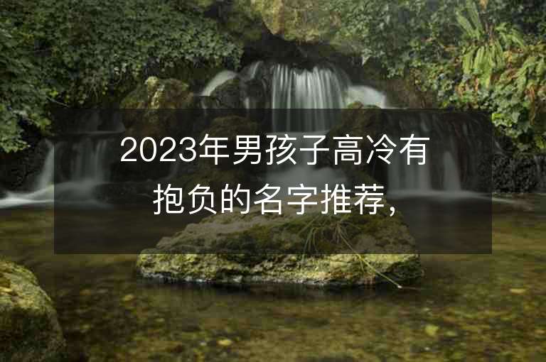 2023年男孩子高冷有抱負的名字推薦，男孩子高冷有抱負的名字2023起名