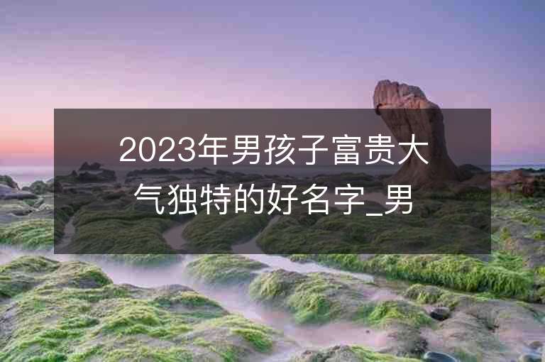 2023年男孩子富貴大氣獨特的好名字_男孩子富貴大氣獨特的名字2023起名