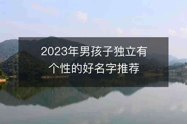 2023年男孩子獨立有個性的好名字推薦