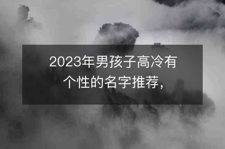 2023年男孩子高冷有個性的名字推薦，男孩子高冷有個性的名字2023起名