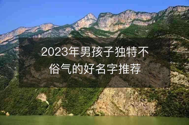 2023年男孩子獨特不俗氣的好名字推薦