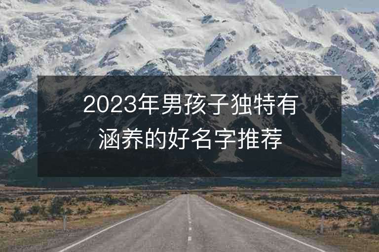 2023年男孩子獨特有涵養的好名字推薦