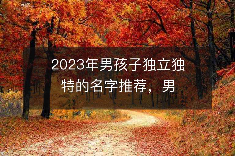 2023年男孩子獨立獨特的名字推薦，男孩子獨立獨特的名字2023起名