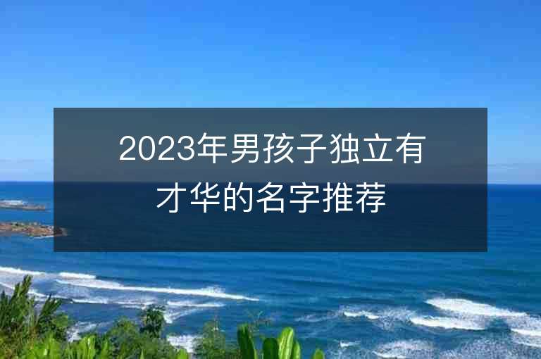 2023年男孩子獨立有才華的名字推薦