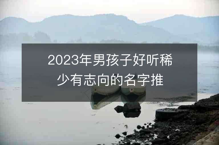 2023年男孩子好聽稀少有志向的名字推薦，男孩子好聽稀少有志向的名字2023起名