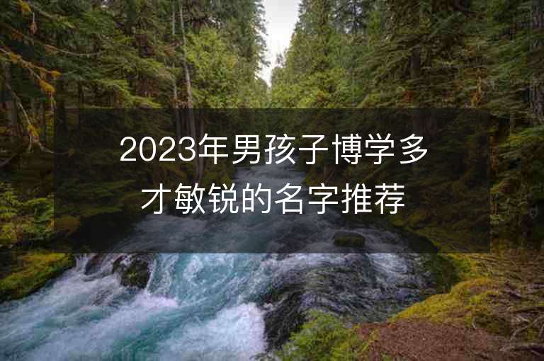 2023年男孩子博學(xué)多才敏銳的名字推薦，男孩子博學(xué)多才敏銳的名字2023起名