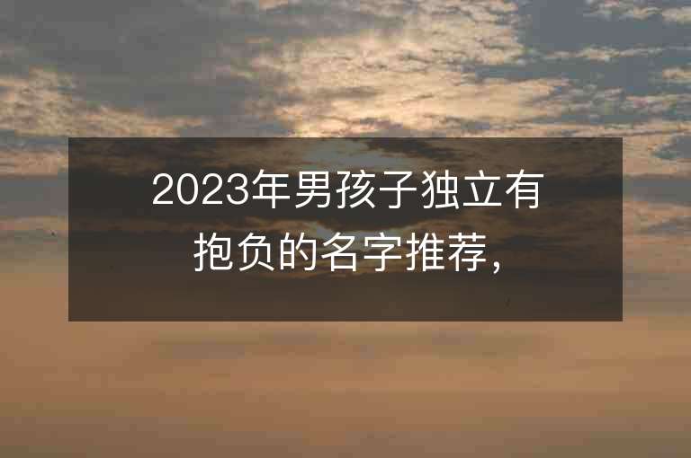 2023年男孩子獨立有抱負的名字推薦，男孩子獨立有抱負的名字2023起名