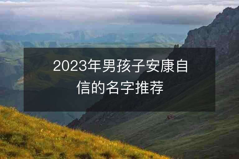 2023年男孩子安康自信的名字推薦