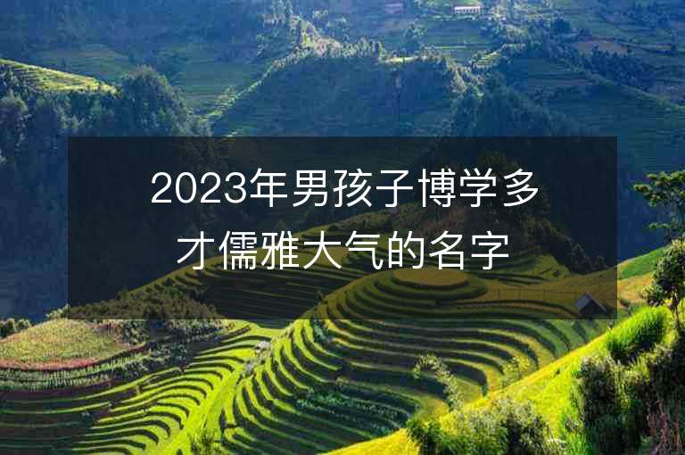 2023年男孩子博學(xué)多才儒雅大氣的名字推薦，男孩子博學(xué)多才儒雅大氣的名字2023起名