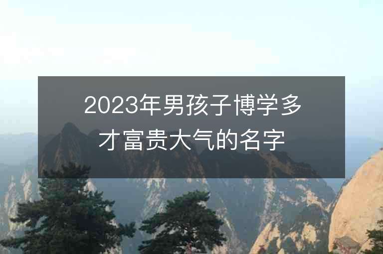 2023年男孩子博學多才富貴大氣的名字推薦，男孩子博學多才富貴大氣的名字2023起名