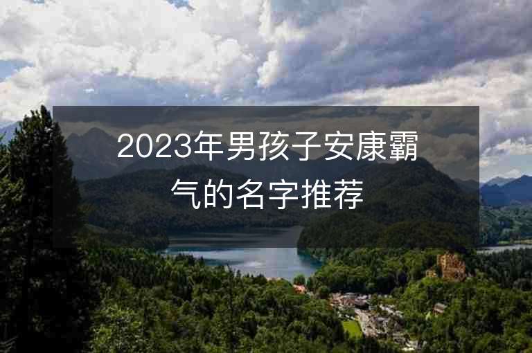 2023年男孩子安康霸氣的名字推薦