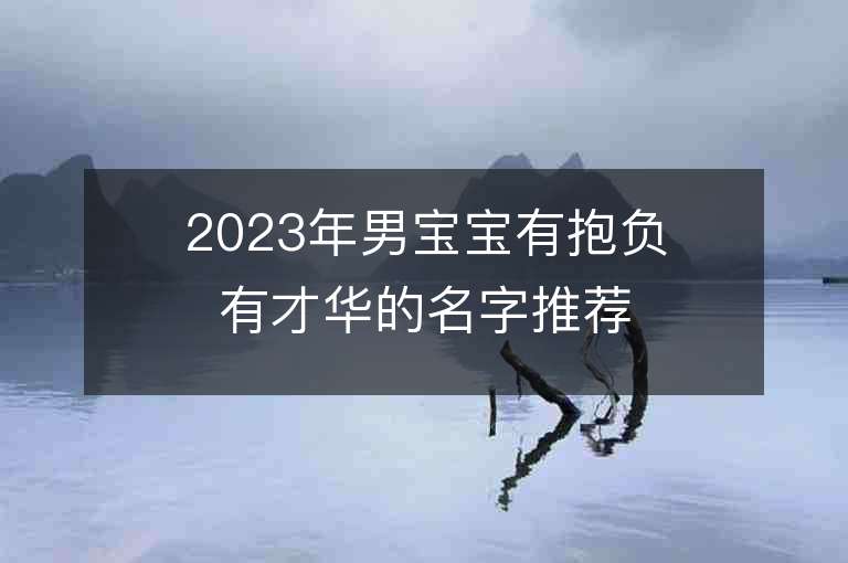 2023年男寶寶有抱負有才華的名字推薦