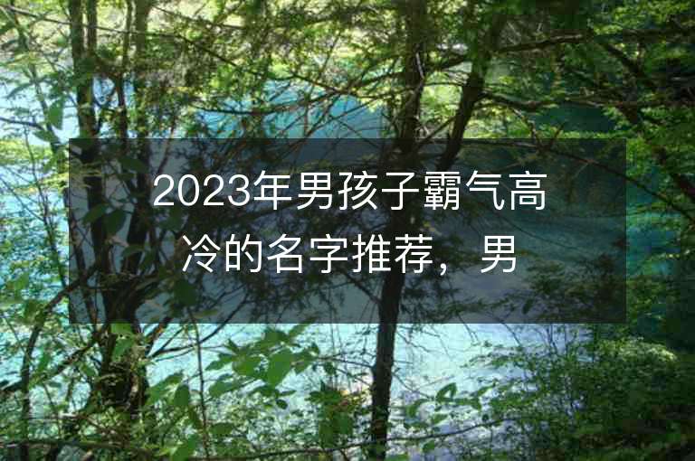 2023年男孩子霸氣高冷的名字推薦，男孩子霸氣高冷的名字2023起名