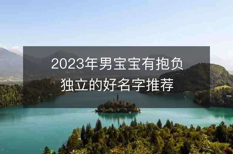 2023年男寶寶有抱負獨立的好名字推薦