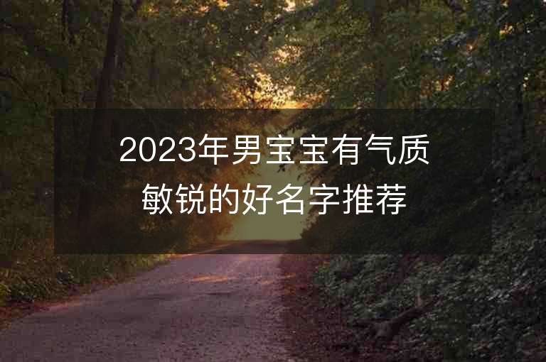 2023年男寶寶有氣質敏銳的好名字推薦