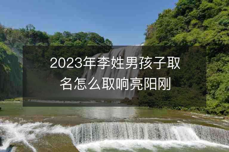 2023年李姓男孩子取名怎么取響亮陽剛的男寶寶取名字推薦