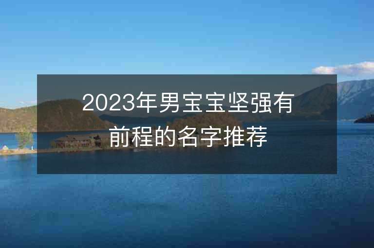 2023年男寶寶堅(jiān)強(qiáng)有前程的名字推薦