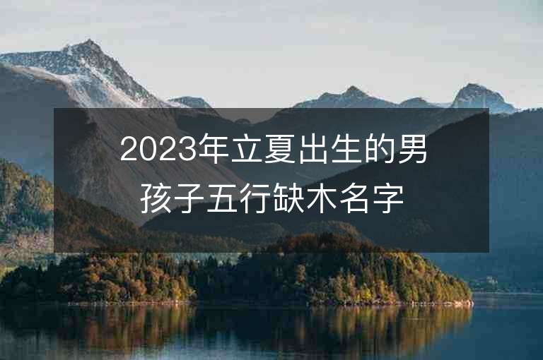 2023年立夏出生的男孩子五行缺木名字推薦