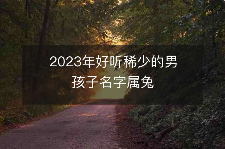 2023年好聽稀少的男孩子名字屬兔