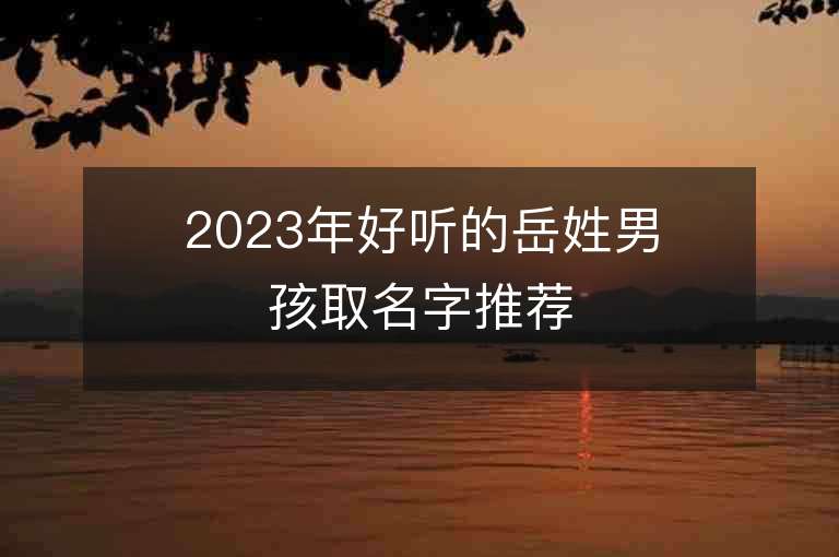 2023年好聽的岳姓男孩取名字推薦