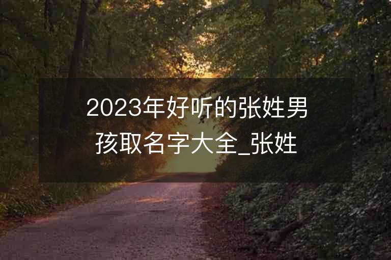 2023年好聽的張姓男孩取名字大全_張姓男孩子名字大全2023起名