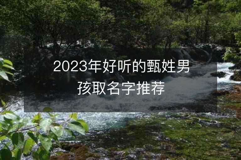 2023年好聽的甄姓男孩取名字推薦