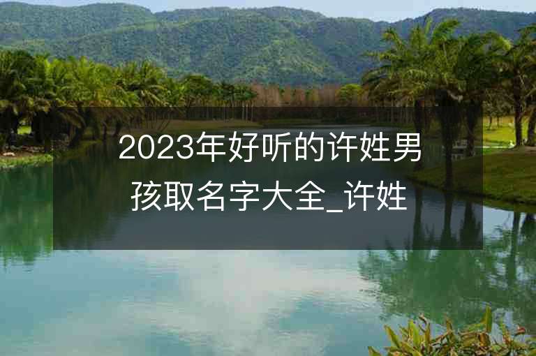 2023年好聽的許姓男孩取名字大全_許姓男孩子名字大全2023起名