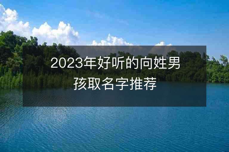 2023年好聽的向姓男孩取名字推薦