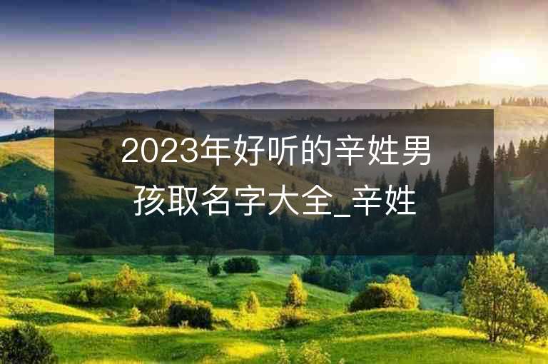 2023年好聽的辛姓男孩取名字大全_辛姓男孩子好聽的名字2023起名