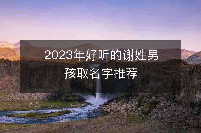 2023年好聽的謝姓男孩取名字推薦