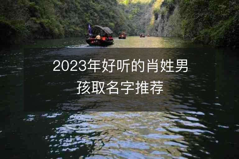 2023年好聽的肖姓男孩取名字推薦