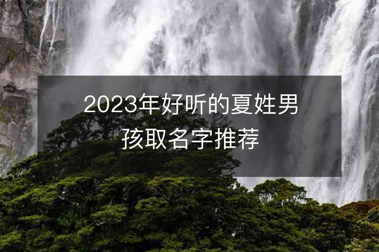 2023年好聽的夏姓男孩取名字推薦