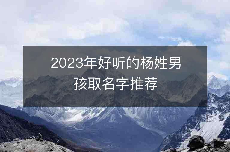 2023年好聽的楊姓男孩取名字推薦