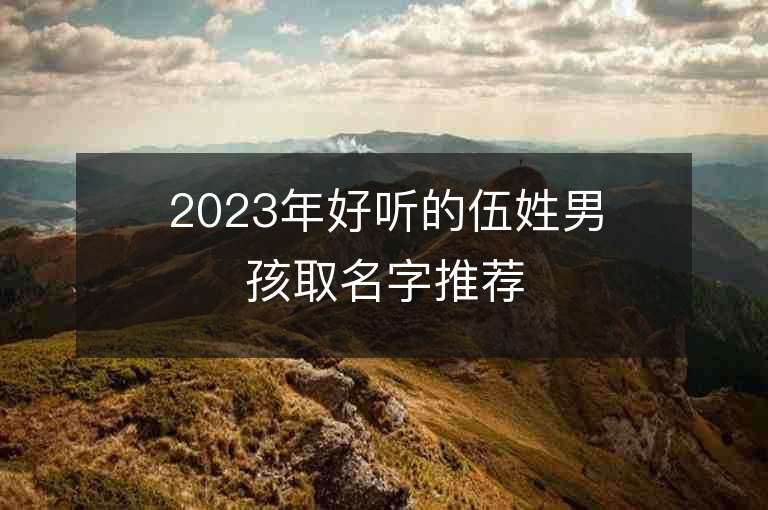 2023年好聽的伍姓男孩取名字推薦