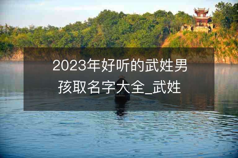 2023年好聽的武姓男孩取名字大全_武姓男孩子名字大全2023起名