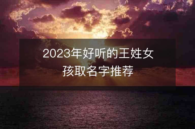 2023年好聽的王姓女孩取名字推薦