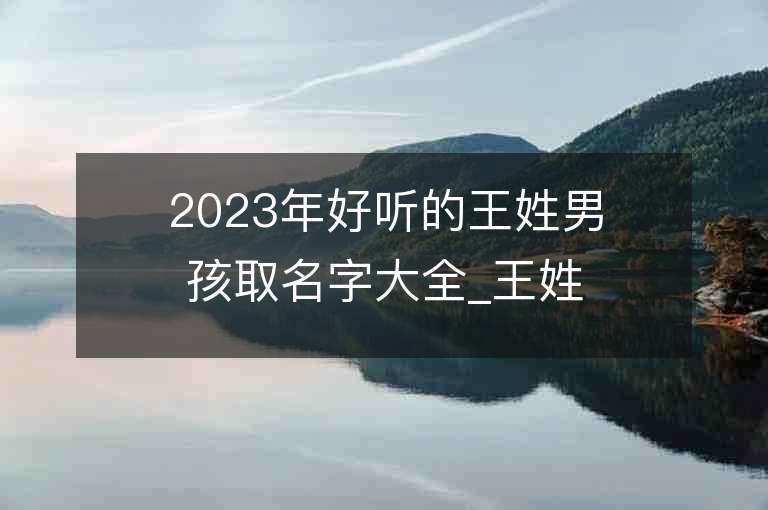 2023年好聽的王姓男孩取名字大全_王姓男孩子名字大全2023起名