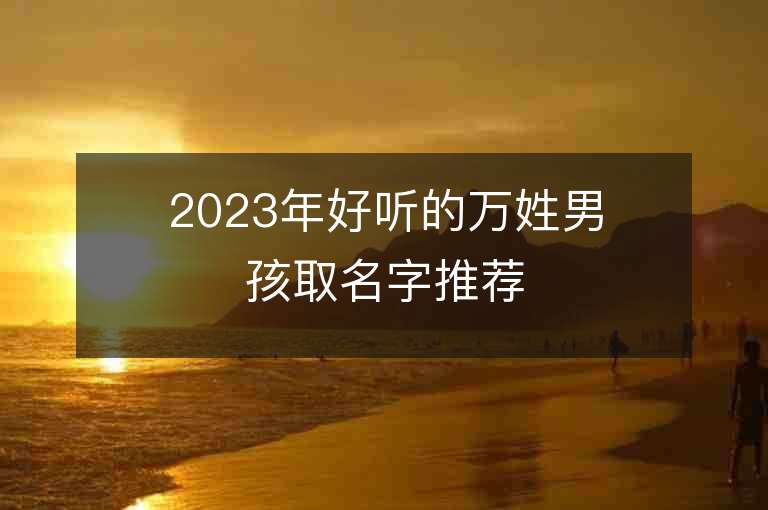 2023年好聽的萬姓男孩取名字推薦