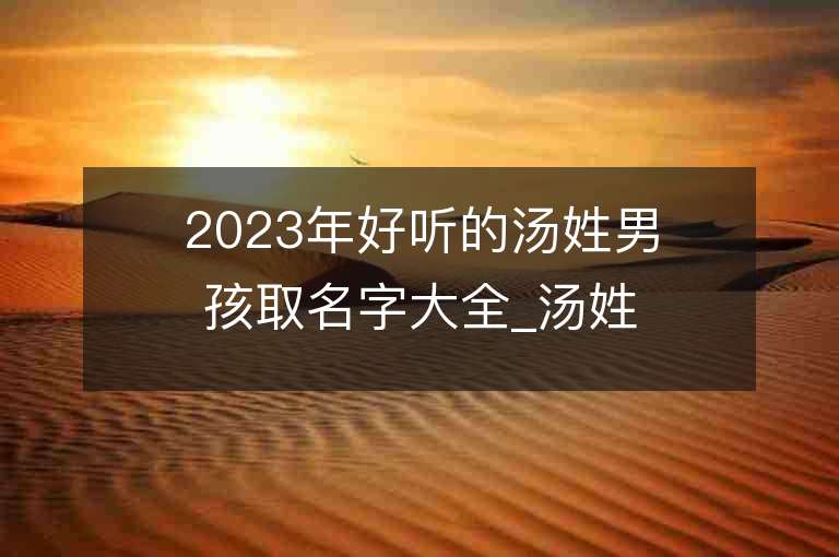 2023年好聽的湯姓男孩取名字大全_湯姓男孩子名字大全2023起名