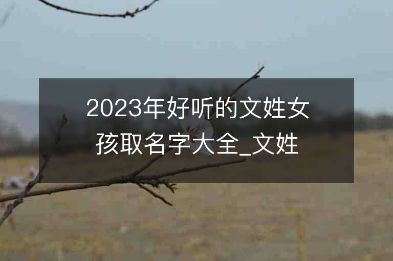 2023年好聽的文姓女孩取名字大全_文姓女孩子名字大全2023起名