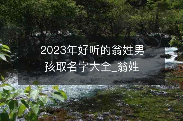 2023年好聽的翁姓男孩取名字大全_翁姓男孩子名字大全2023起名