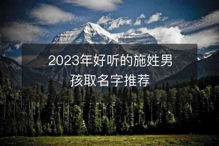 2023年好聽的施姓男孩取名字推薦