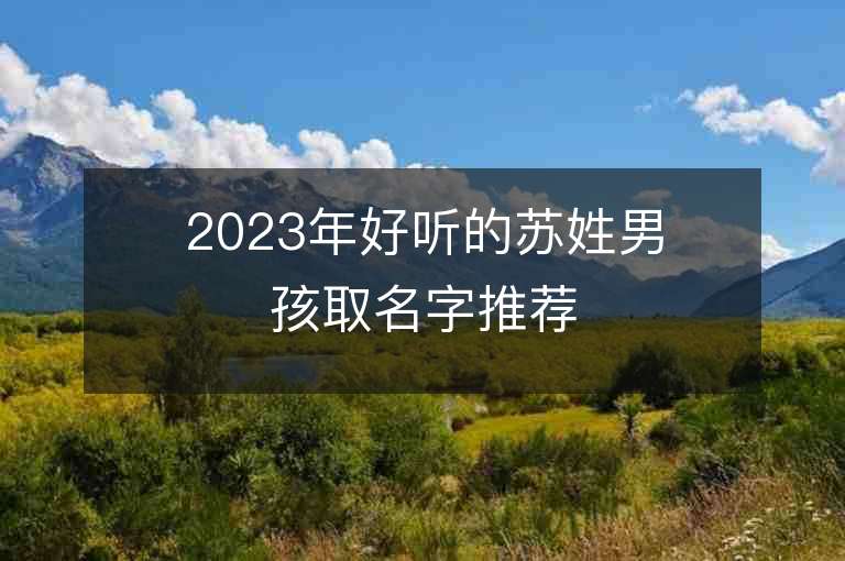 2023年好聽的蘇姓男孩取名字推薦