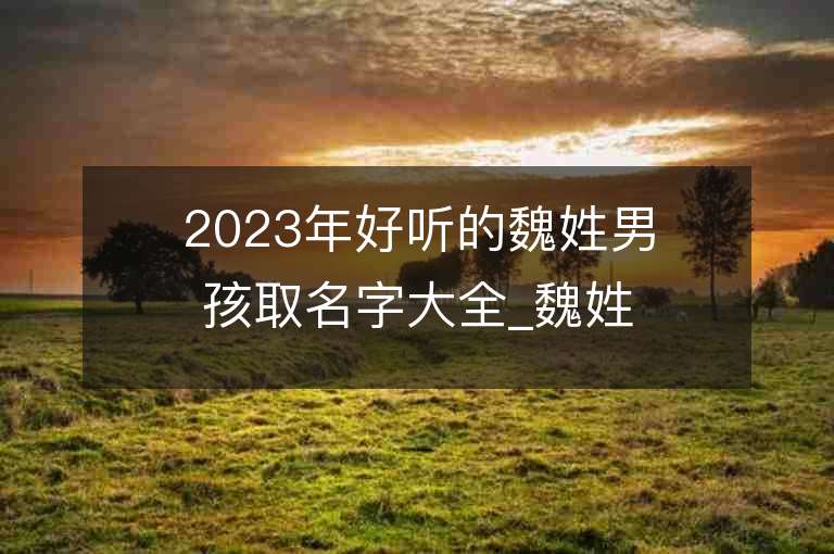 2023年好聽的魏姓男孩取名字大全_魏姓男孩子名字大全2023起名