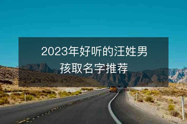 2023年好聽的汪姓男孩取名字推薦