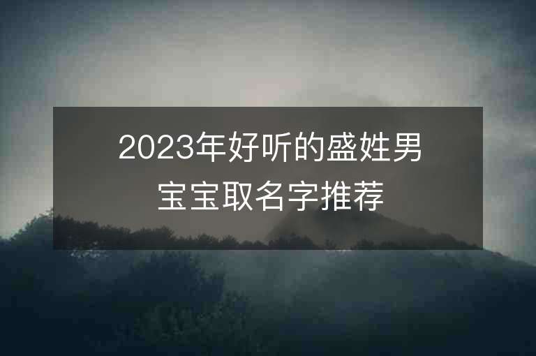 2023年好聽的盛姓男寶寶取名字推薦